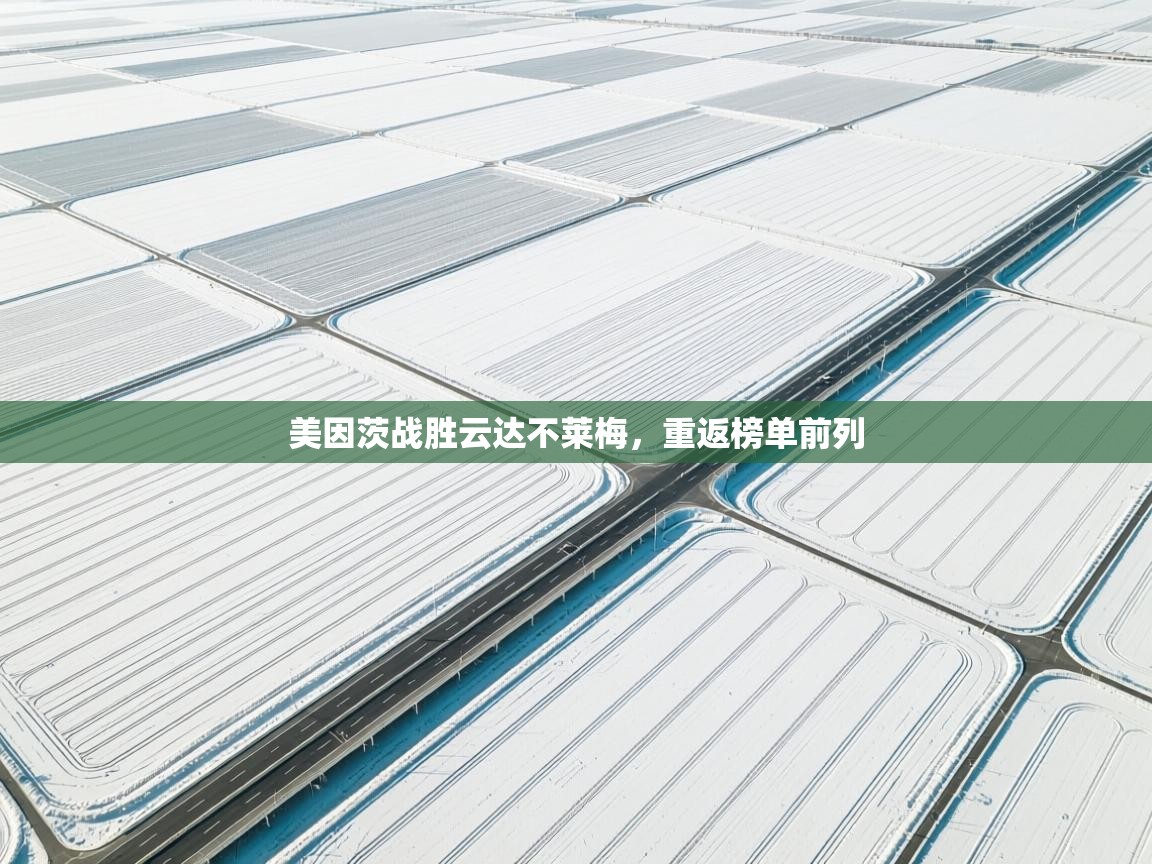 美因茨战胜云达不莱梅，重返榜单前列  第2张