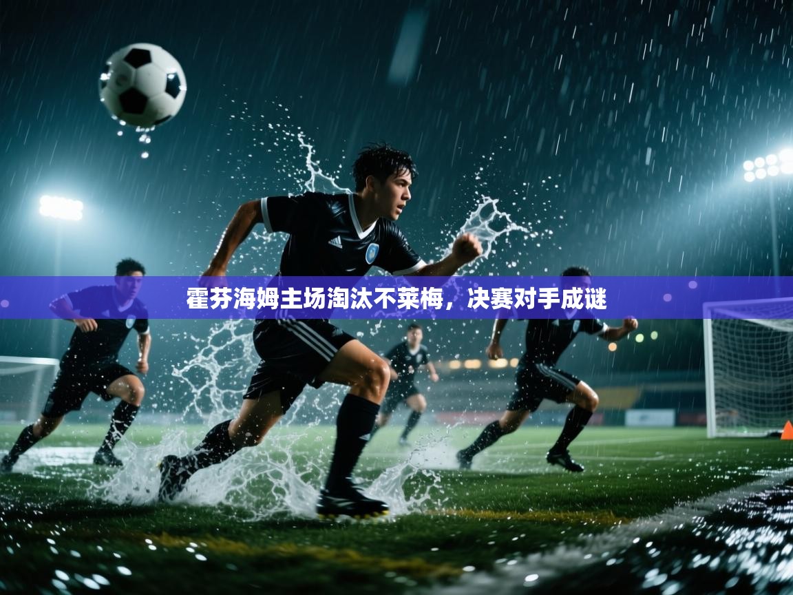 霍芬海姆主场淘汰不莱梅,决赛对手成谜 第2张