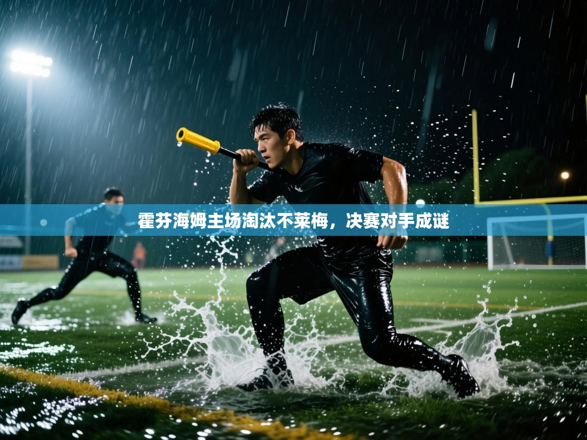 霍芬海姆主场淘汰不莱梅,决赛对手成谜 第1张