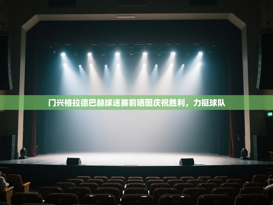 门兴格拉德巴赫球迷赛前晒图庆祝胜利,力挺球队 第1张