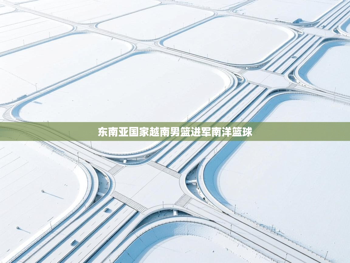 东南亚国家越南男篮进军南洋篮球  第2张