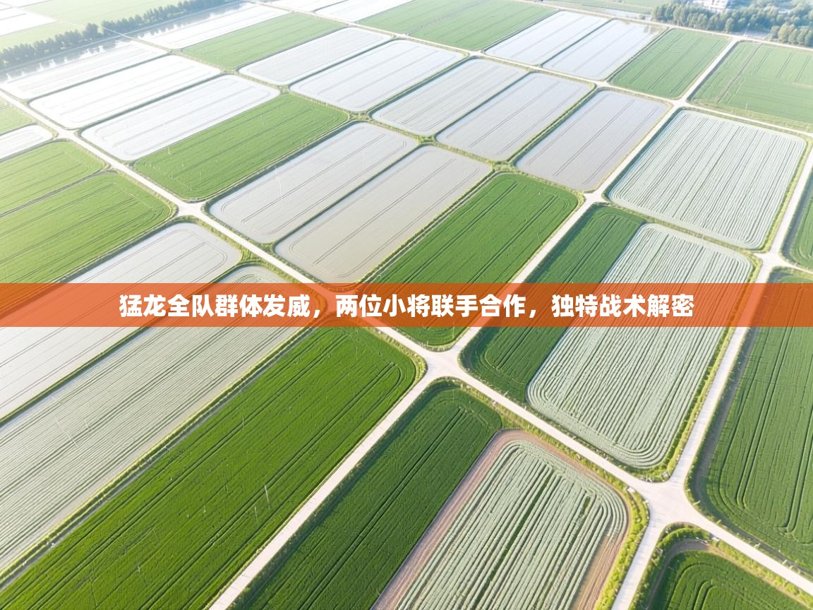猛龙全队群体发威，两位小将联手合作，独特战术解密