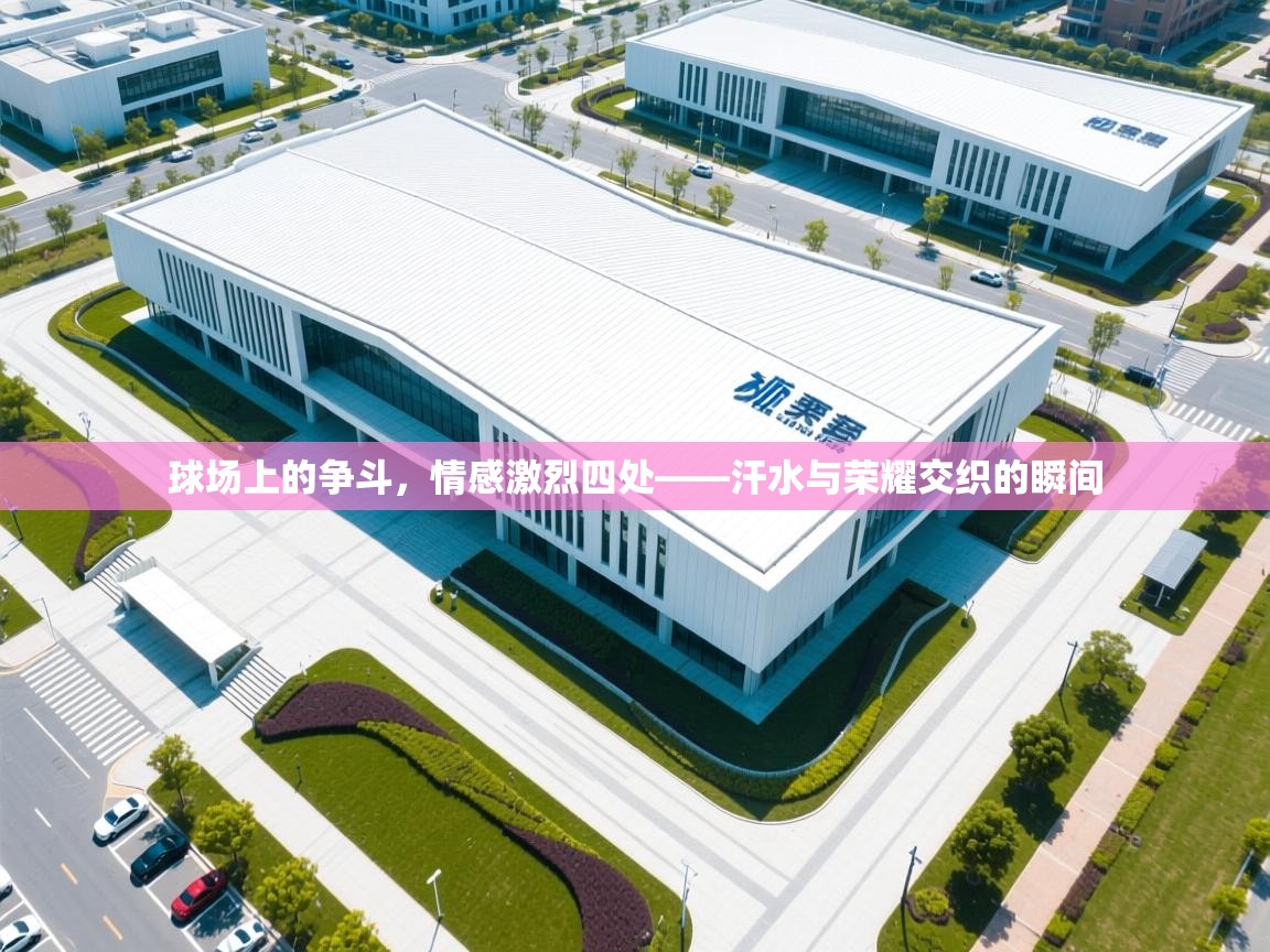 球场上的争斗，情感激烈四处——汗水与荣耀交织的瞬间