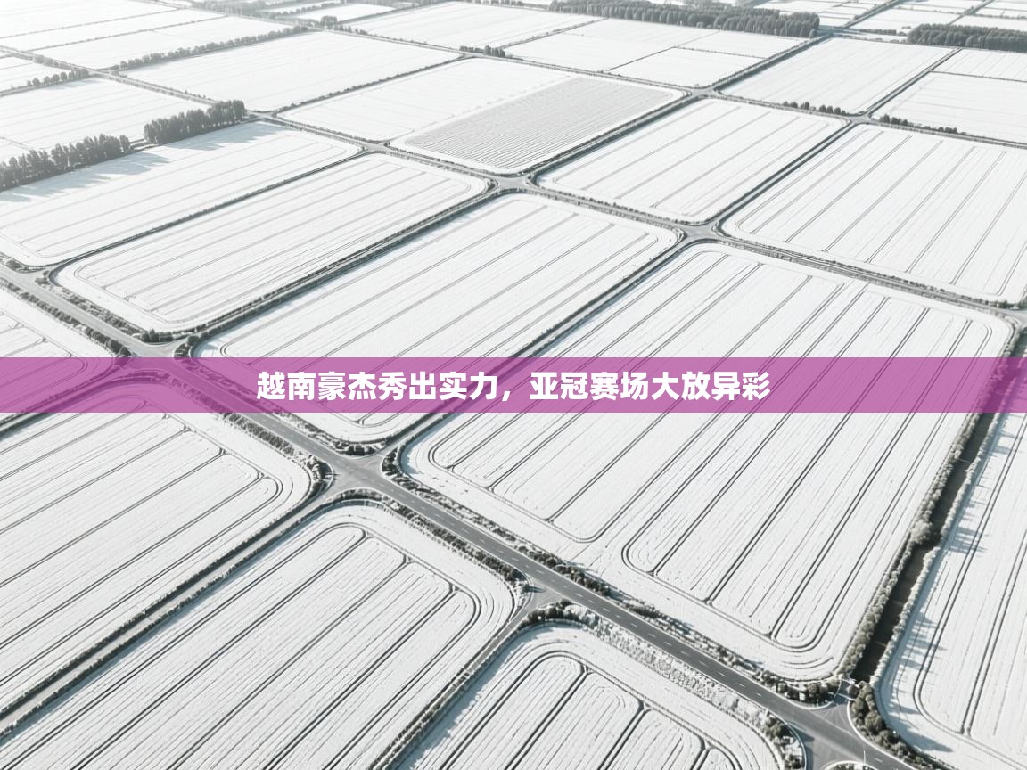 越南豪杰秀出实力,亚冠赛场大放异彩 第2张