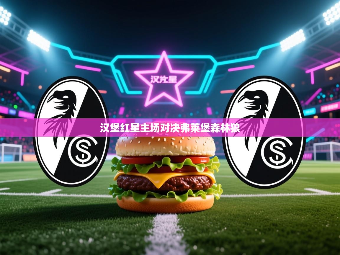 汉堡红星主场对决弗莱堡森林狼  第2张